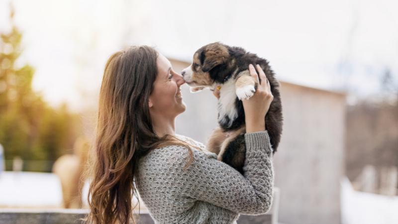 子犬の興奮時の「うれしょん」とその解決策