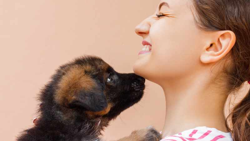 子犬の興奮による尿漏れ(うれしょん)はいつまで続く？