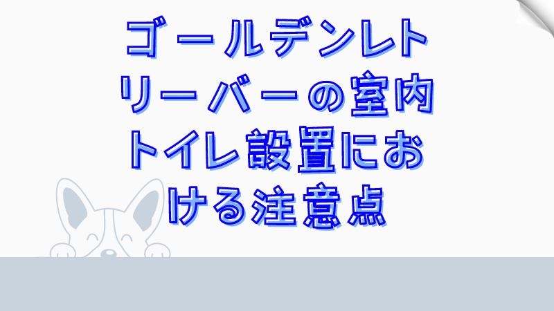 ゴールデンレトリーバーの室内トイレ設置における注意点