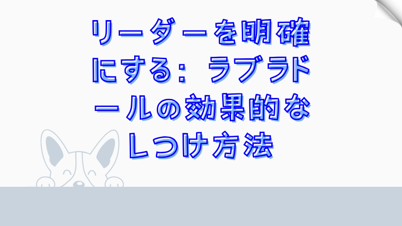 リーダーを明確にする：ラブラドールの効果的なしつけ方法