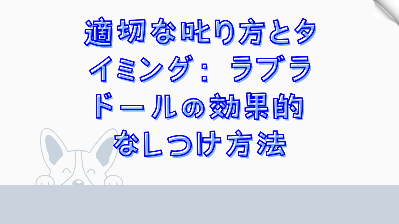 適切な叱り方とタイミング：ラブラドールの効果的なしつけ方法