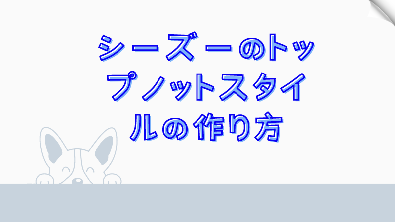 シーズーのトップノットスタイルの作り方