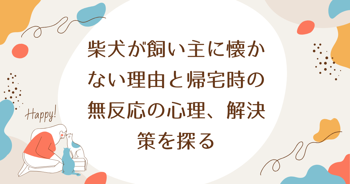 柴犬が飼い主に懐かない理由と帰宅時の無反応の心理、解決策を探る