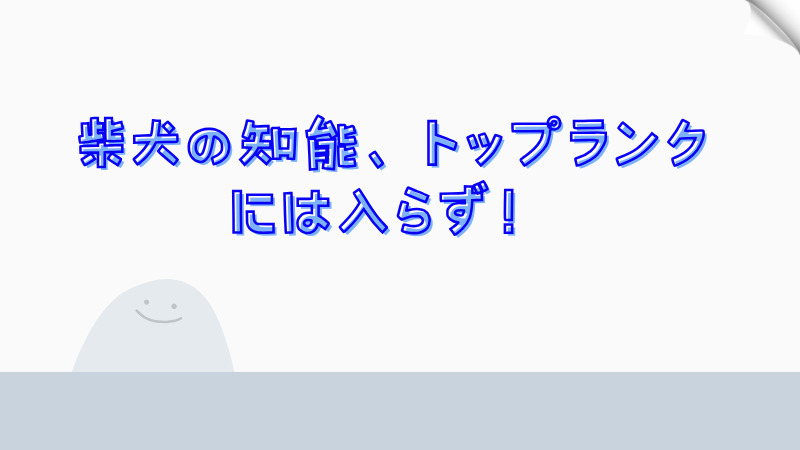 柴犬の知能、トップランクには入らず！